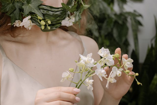 Quanto tempo dura a flor da orquídea?